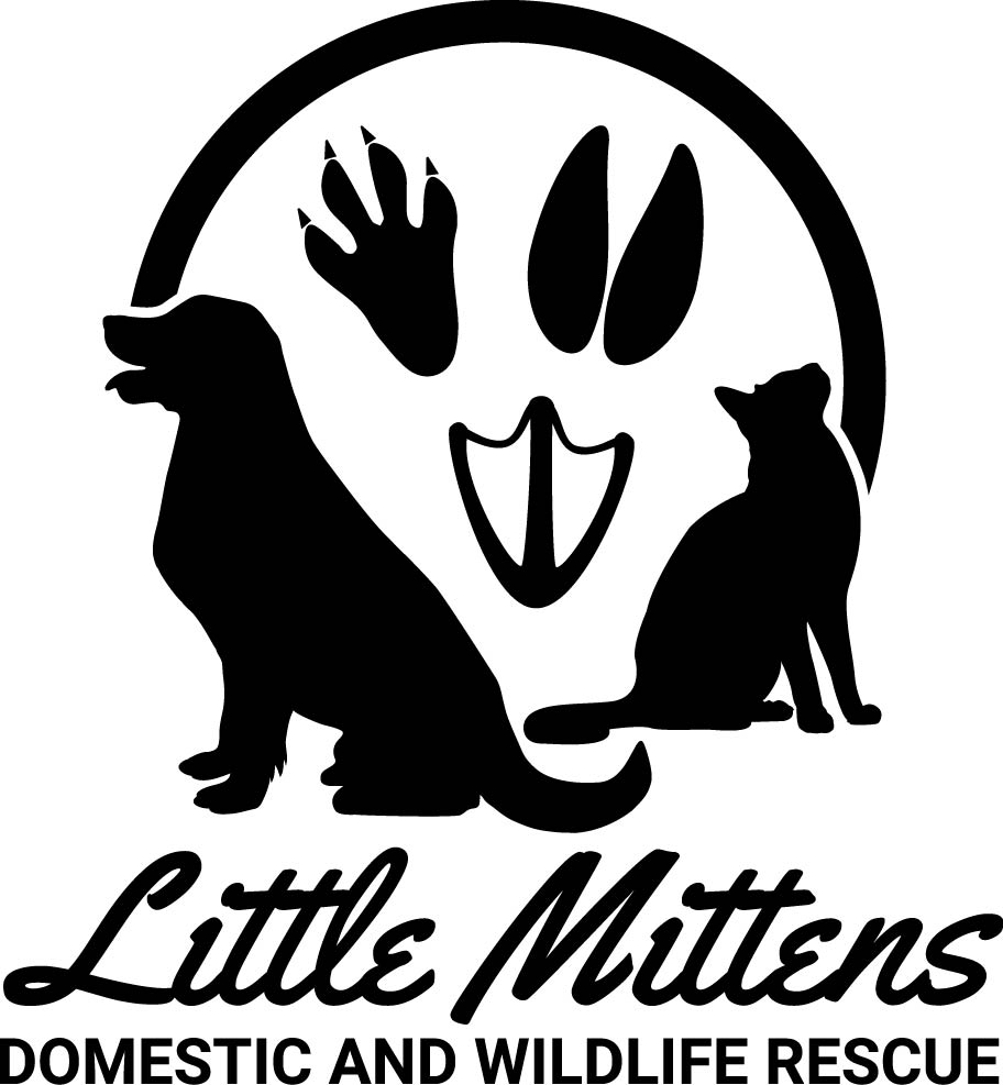 LM Logo Vertical JPEG BLACK